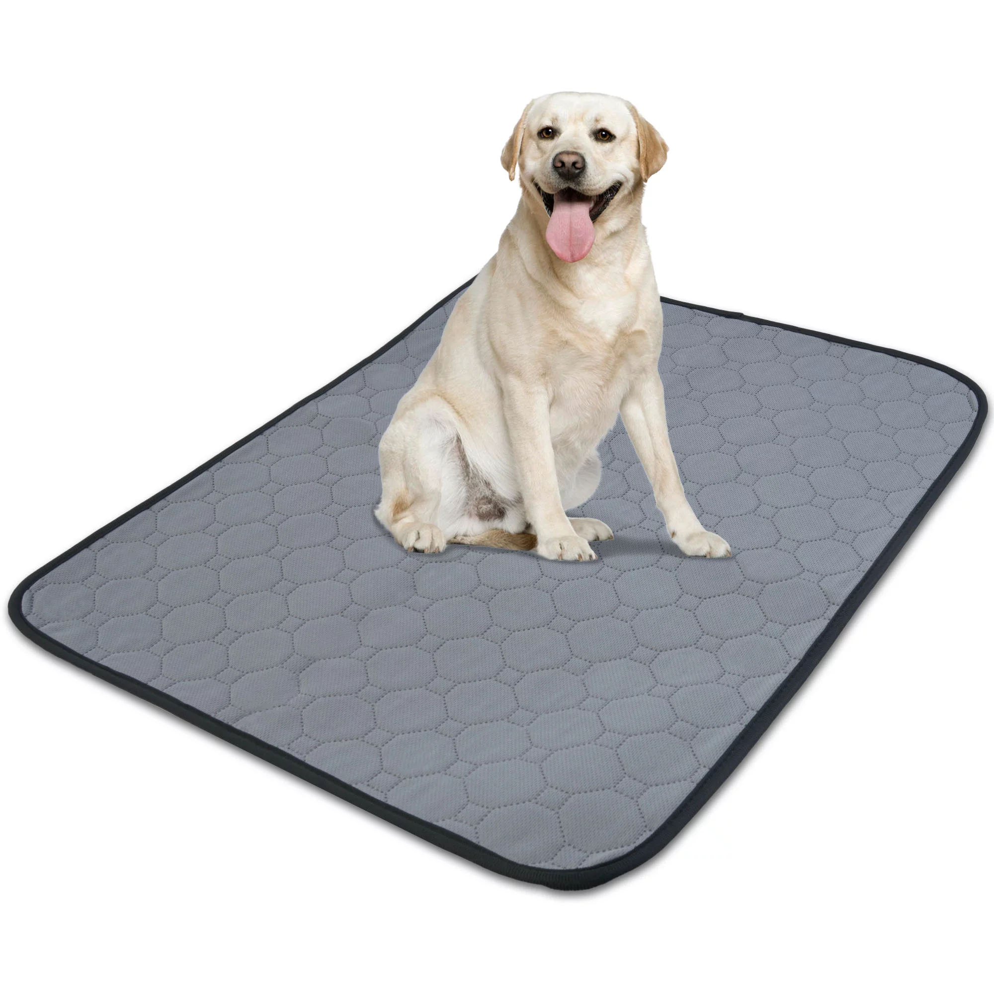 Kuoser Washable Pee Pad for Dogs Reusable Puppy Pet Training Pad Anti