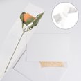 thumbnail image 3 of Miangastore 100pcs Flower Wrapping Bags Convenient Flower Packing Sleeves Single Rose Sleeves, 3 of 9