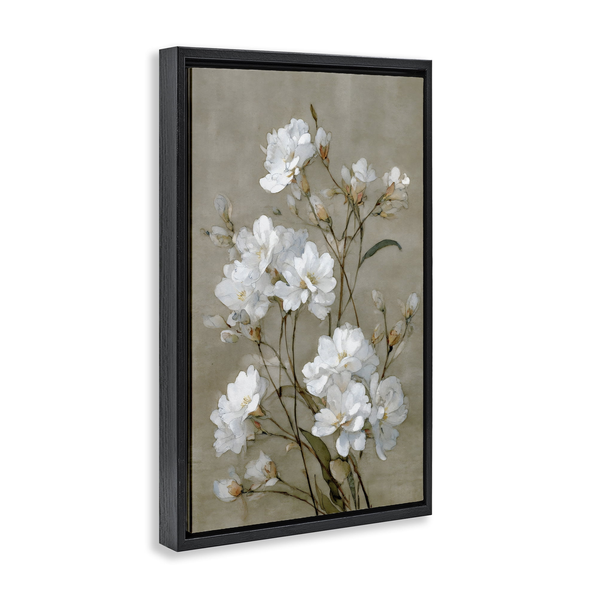 Stupell Industries Aged White Botanical Study Black Framed Floater Canvas Wall Art, design by Petal Prints Design