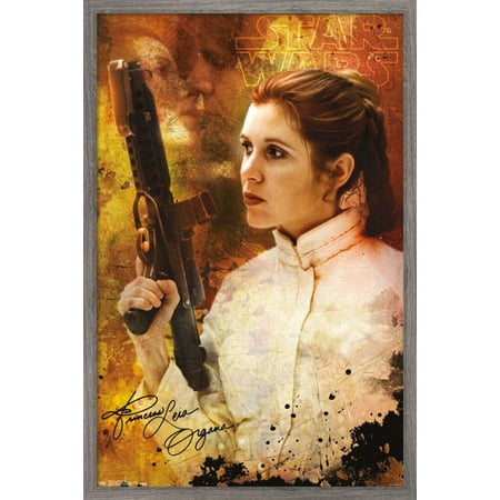 Star Wars: Saga - Princess Leia - Signature Wall Poster, 22.375" x 34", Framed