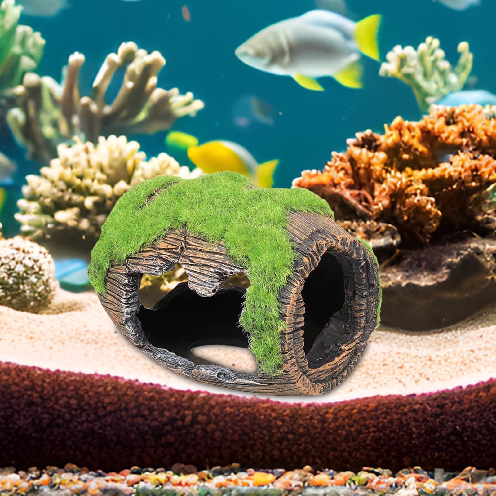 Baoblaze 3X Aquarium Decorations Resin Aquarium Ornament for Cichlid Betta