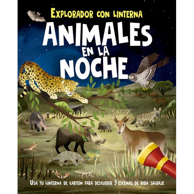 Libro Animales En La Noche Tapa Blanda, Autor Lisa Regan, Editorial Picaronaobelisco