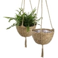 thumbnail image 1 of Juego de cestas de algas naturales, maceta para plantas de interior, funda decorativa para maceta, 25 D 6 H cm, 1 of 5