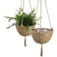 thumbnail image 1 of Juego de cestas de algas naturales, maceta para plantas de interior, funda decorativa para maceta, 25 D 6 H cm, 1 of 5