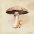 thumbnail image 3 of Marrott, Stephanie 12x12 Black Modern Framed Museum Art Print Titled - Mushrooms In Fall, 3 of 5