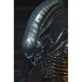 thumbnail image 2 of Alien - ¼ Scale Action Fig - 40th Anniversary Big Chap NECA NECA NECA, 2 of 3
