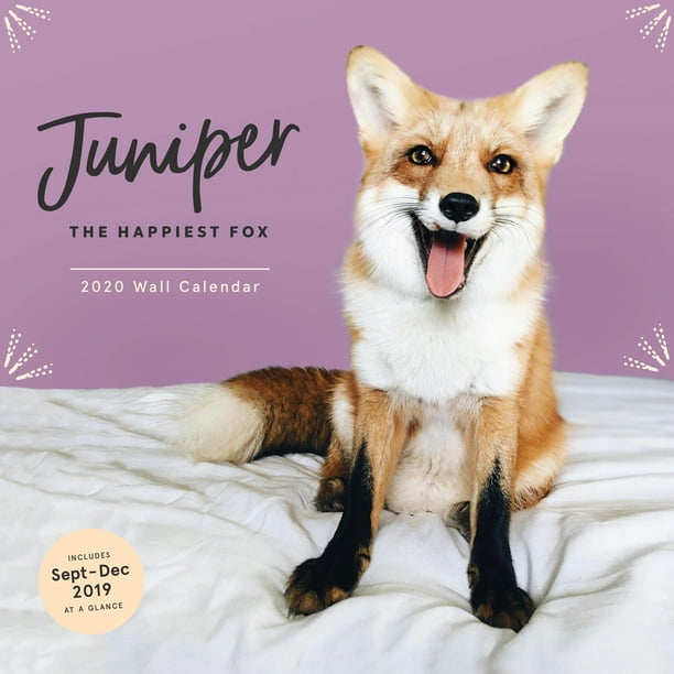 Juniper The Happiest Fox 2020 Wall Calendar (animal Calendar 2020