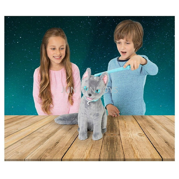 Adora Amazing Pets Misty The Grey Kitty - Juguete De 4.5 Pulgadas Para La Mayoría De Muñecas De 18 Pulgadas, Juego De 6 Piezas Incluye Gato De Juguete Y Accesorios (exclusivo