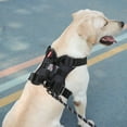 thumbnail image 2 of CIYISON LED Dogs Harness Glowing Pet Harness Light-Up Vest No Pulls Adjustable Harness, 2 of 20