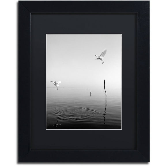 Trademark Fine Art "Flying" Canvas Art by Moises Levy Black Matte, Black Frame