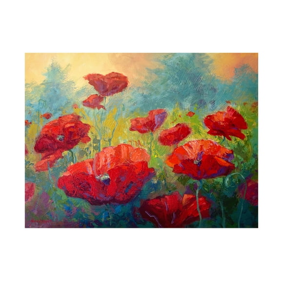 Trademark Fine Art Marion Rose Field of Poppies Canvas Wall Art - 24x32