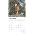 thumbnail image 4 of Goats in Trees 2025 12 X 24 Inch Monthly Square Wall Calendar Plastic-Free (Wall), 4 of 9