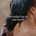 thumbnail image 3 of Champú L'Occitane Intensive Repair Refill 500 ml, 3 of 5