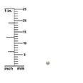 thumbnail image 2 of 14K Yellow Gold Round-Cut Cubic Zirconia Nose Stud Screw - 22g, 2 of 4