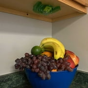 FlyWeb Fruit Fly Trap (FW-15) - 1 Fly Trap by Gardner