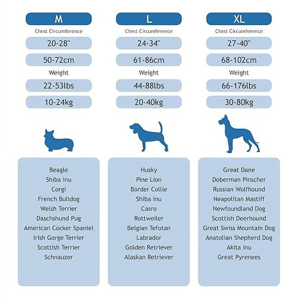 8-Quart Digital Air Fryer