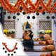 thumbnail image 1 of Halloween Decoration Pull Flower Colorful Strip Hanging Party Supplies Fives Starss Pumpkin Spideres Paper Hanging Halloween Props, 1 of 7