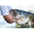 thumbnail image 2 of Berkley PowerBait The Champ Minnow Soft Fishing Bait, 2 of 7