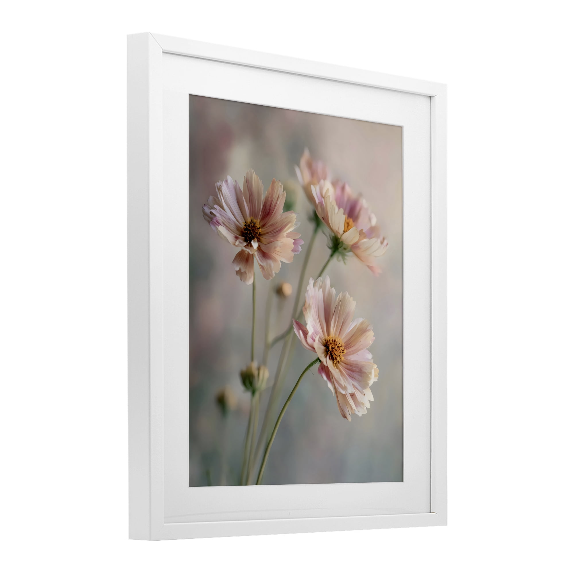 Stupell Industries Pink Daisies Close Up White Framed Print Under Glass, design by Franklyn Gregory