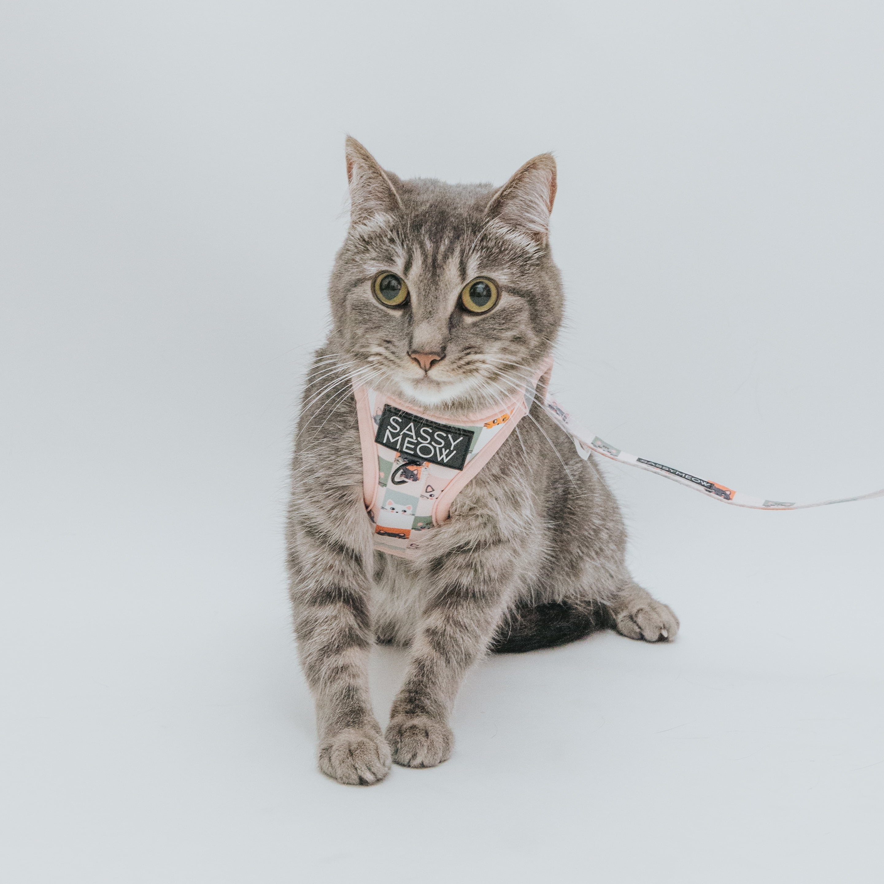 Sassy Meow Cat Step-In Harness Extra Small - Smitten Kittens
