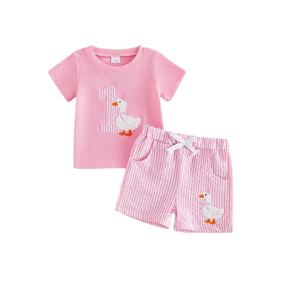 BemeyourBBs Baby Girl 1st First Birthday Outfit 1 Years Old Birthday Summer Clothes Number Goose Embroidery Short Sleeve T-shirt and Striped Shorts Set Toddler Girls Summer Goose Outfit