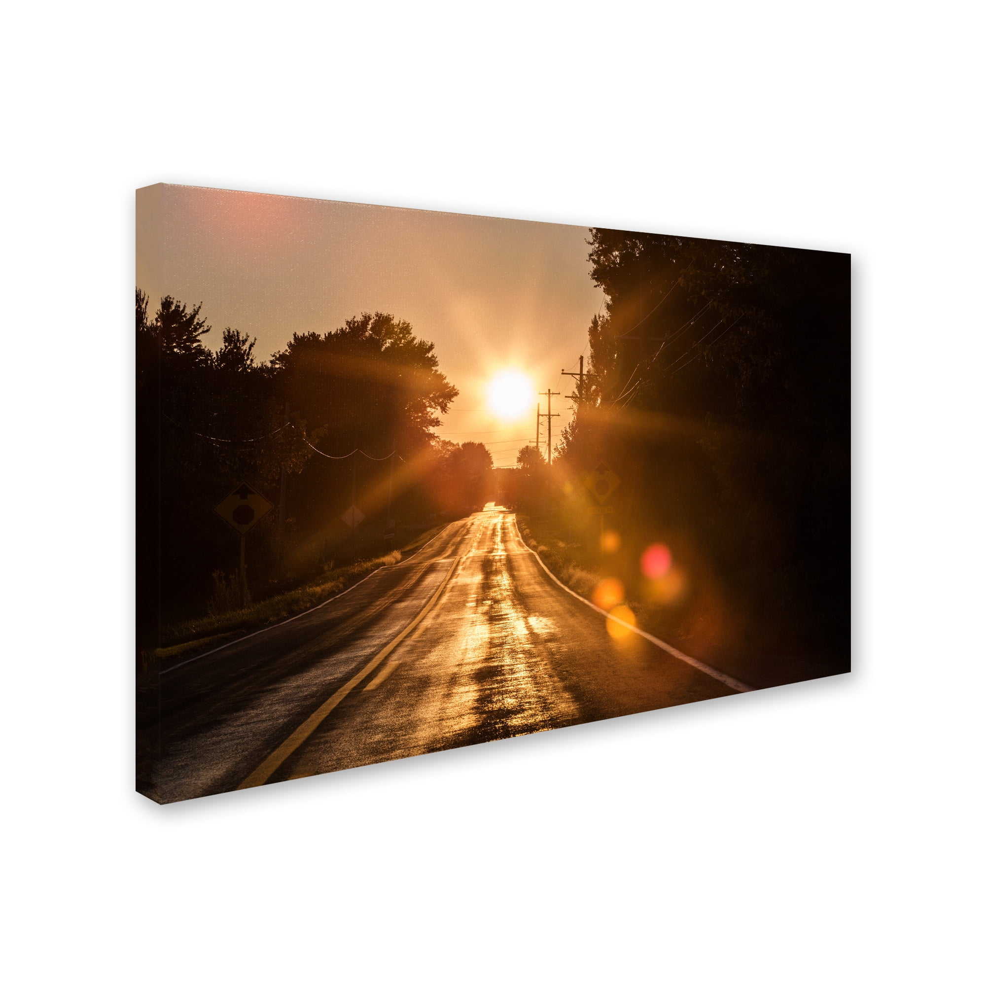 Trademark Fine Art "Sun Soaked Road" Canvas Art by Jason Shaffer