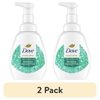 (2 pack) Dove Holiday Foaming Hand Wash Frosted Eucalyptus All Skin, 10.1 oz