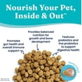 thumbnail image 4 of Solid Gold Bison & Oatmeal Wolf Cub Puppy Dry Dog Food, 4 lb, 4 of 7
