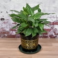thumbnail image 5 of Uxcell 9" Plastic Wave Round Plant Pot Saucer Flower Drip Tray, Green 6 Pack, 5 of 5
