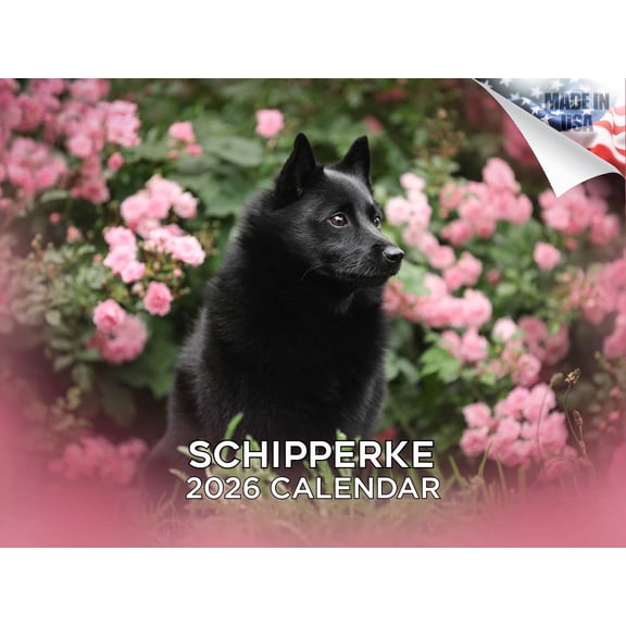 2025 2026 Schipperke Calendar - Dog Breed Monthly Wall Calendar - 12 x 18 Open - Thick No-Bleed Paper - Giftable - Made in USA