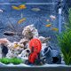 thumbnail image 1 of unbranded De Para Acuario Fabricado En Resina Con Natural, 1 of 6