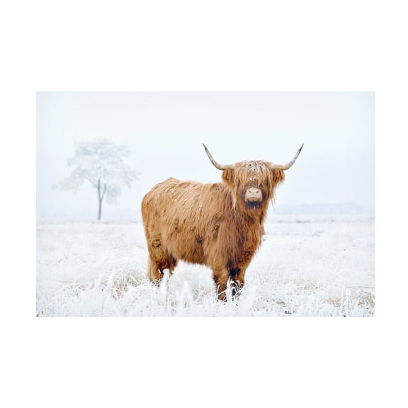 Canvas Wall Art - Krista Broadway 'Conway' Wall Art for Living Room, Bedroom, or Office Décor by Trademark Fine Art - 19 x 12 Inches