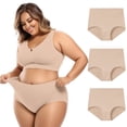 thumbnail image 3 of Womens Underwear Regular & Plus Size XS 5XL Cotton Underwear High Waisted Briefs 3 Pack, 3 of 3