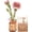 Pink Carnation, variant on Robotime 3D Wooden Puzzle Red Carnation DIY Model Building Kits Artifical Flower Toys for Girls Adults for Thanksgiving & Mother's Day & Valentine's Day & Birthday Gifts