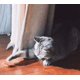 thumbnail image 4 of Juego de 2 juguetes para gatos: eléctrico, de ratón, automático y de agilidad., 4 of 4