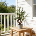 thumbnail image 5 of TOARTi Olive Bonsai Tree Faux Fruit Potted Plant Handmade For Tabletop Desk Office Kitchen Living Room Bedroom 1.7 ft, 5 of 8