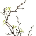 thumbnail image 5 of Curly Willow Artificial Sprays - 34" - Green - Set of 4, 5 of 5