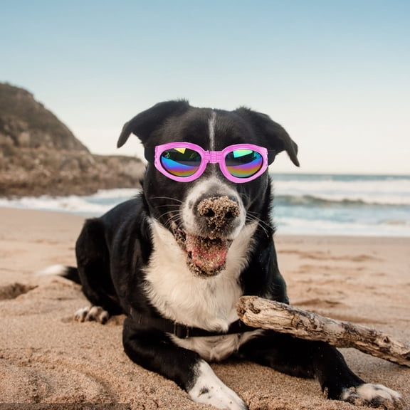 Dog Sunglasses Polarized Windproof Pet Goggles Adjustable Folding Design with Elastic Band for Outdoor Camping Trips Photography