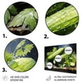 thumbnail image 3 of Designart "Green Zucchini A Vegetable Portrait" Vegetables Metal Art Print, 3 of 5