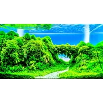 Dwarf Hairgrass Seeds - 50 Seeds - Aquarium Grass