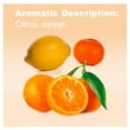 thumbnail image 3 of doTerra Citrus Bliss Essential Oil Blend 15 ml, 3 of 9