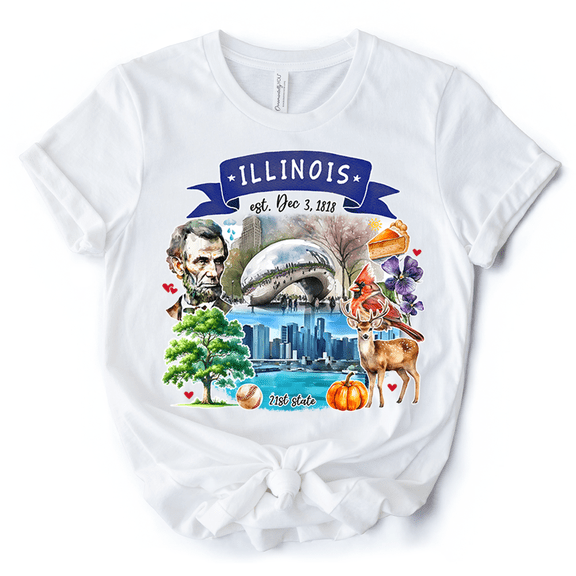 Artistic Illinois State Themes and Landmarks T-Shirt, Tee for History and Travel Lovers