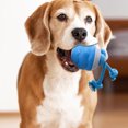 thumbnail image 2 of Interactive Self Moving Pet Toy Automatic Rolling Jumping Action with Squeaker for Indoor Puppy and Training Exercises, 2 of 4