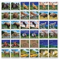 thumbnail image 2 of MasterPieces Officially Licensed National Parks Matching Game, 2 of 4