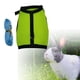 thumbnail image 2 of Arnés de conejo y collar de correa Hebilla para gatos pequeños Verde M Yuyangstore Arnés y correa de conejo, 2 of 8