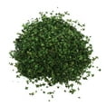 thumbnail image 2 of Wweixi Feuilles Miniatures Réalistes Simulation Feuilles pour Train Mini Modèle Disposition DIY Printemps Vert 35ml, 2 of 6