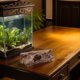 thumbnail image 4 of KALLORY Resina Para Reptiles Y Peces Con Hueco Para Terrarios, 4 of 6