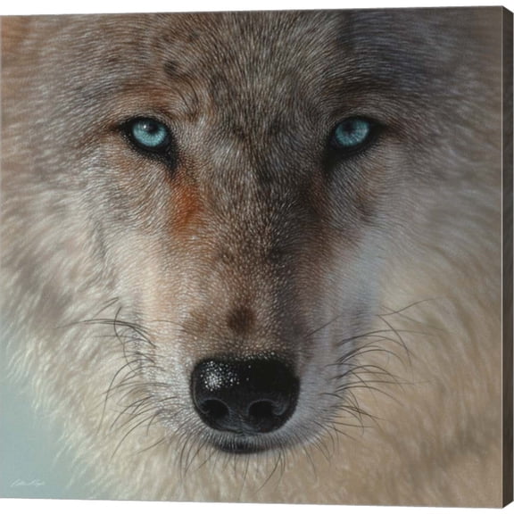 Great Art Now Inner Wolf by Collin Bogle, Canvas Wall Art, 24W x 24H