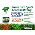 PreMixed Grass and Turf DHF10 Paint All Natural PetFriendly Lawn