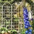 thumbnail image 5 of Holaki 4 Pack Metal Garden Trellis for Climbing Plants Indoor Outdoor,86.7”x80” Cream White Plant Support Stakes,Ivy Vine Lattice Panels,House Plant Accessories, 5 of 7